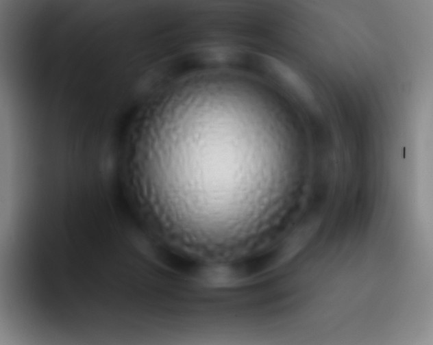 X0000092330265200709211312