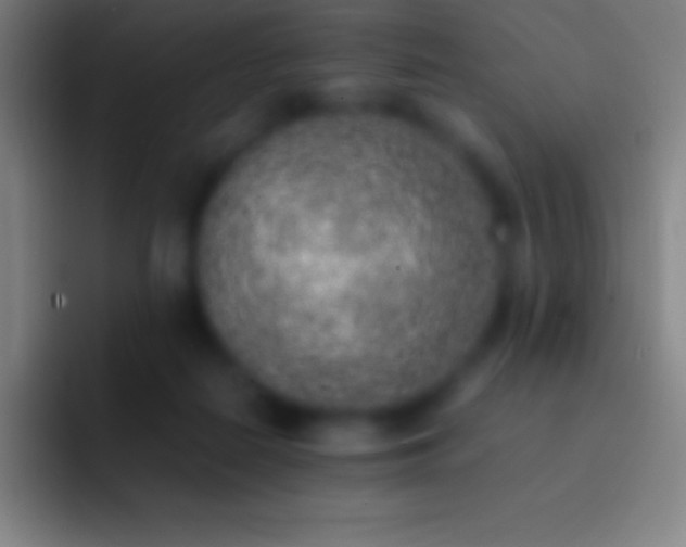 X0000092330266200709211312