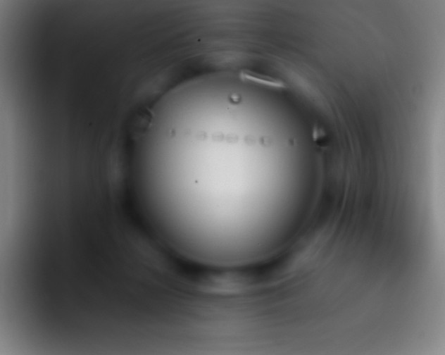 X0000092330268200709211312