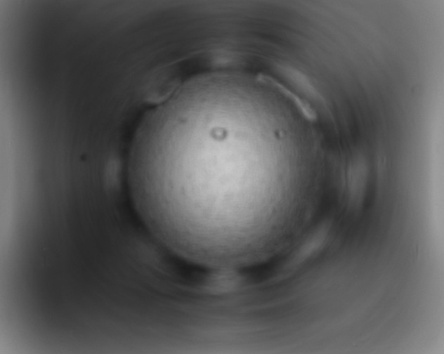 X0000092330269200709211312