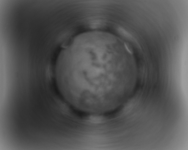 X0000092330272200709211312