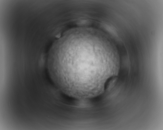 X0000092330273200709211312