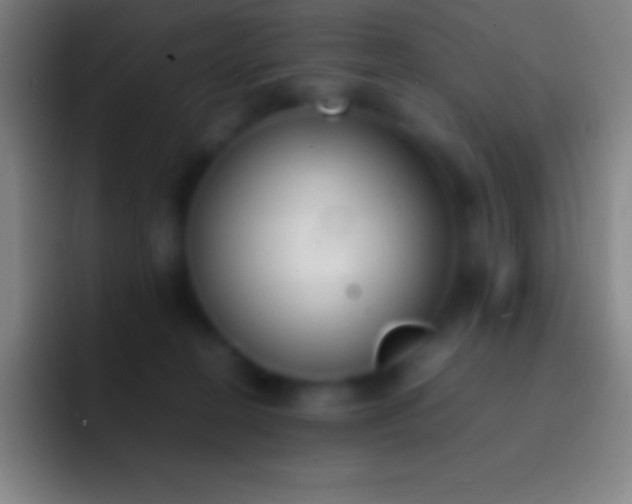 X0000092330274200709211312