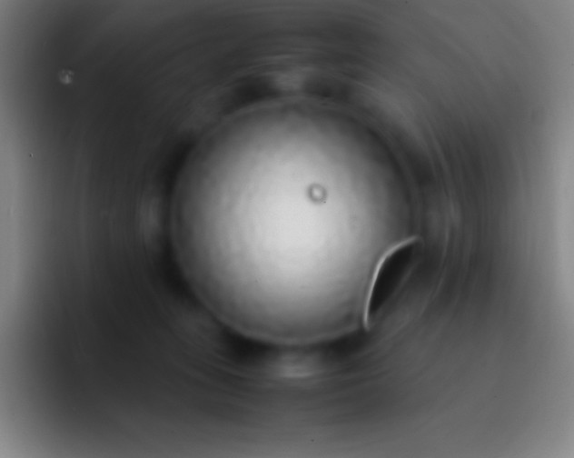 X0000092330275200709211312