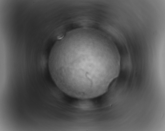 X0000092330279200709211312
