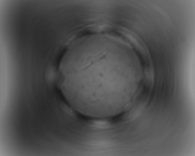 X0000092330284200709211313