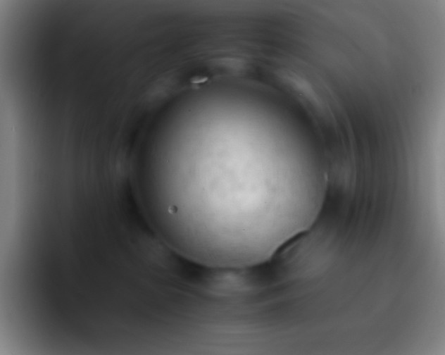 X0000092330285200709211313