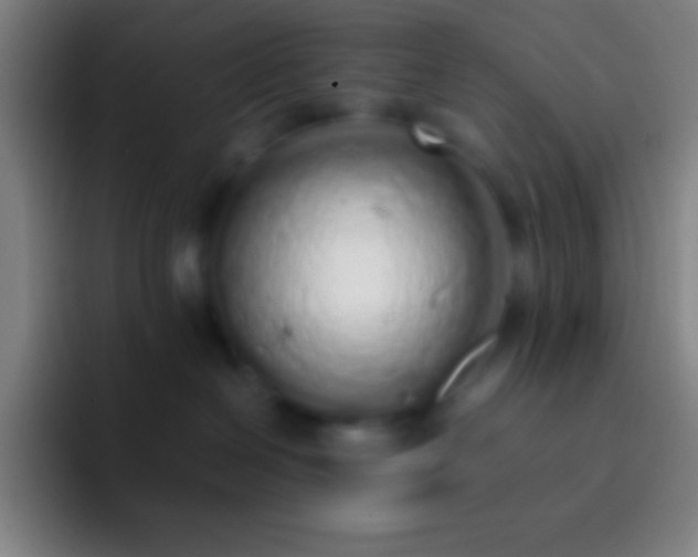 X0000092330286200709211313