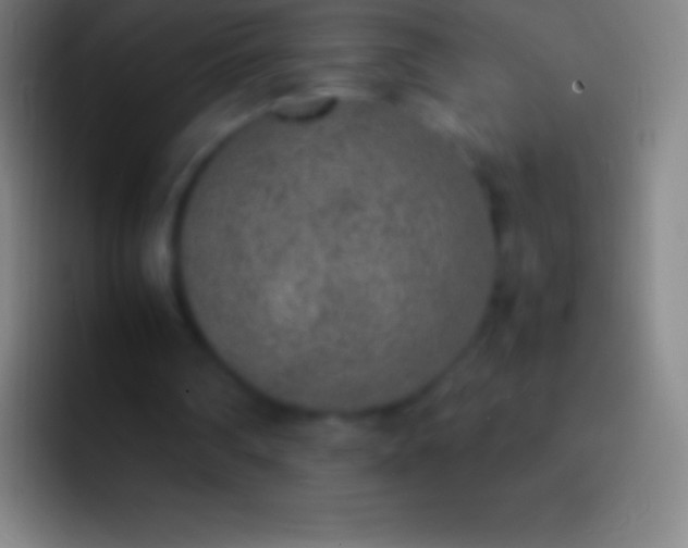 X0000092330290200709211312