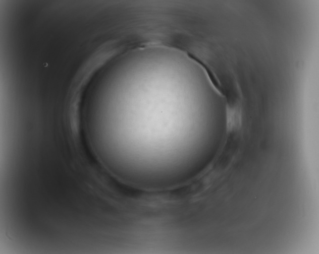 X0000092330291200709211312
