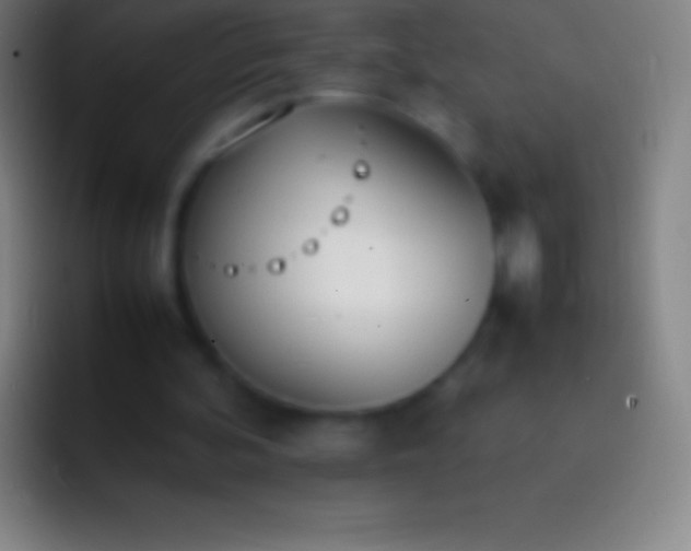 X0000092330292200709211312
