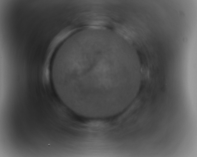 X0000092330294200709211312