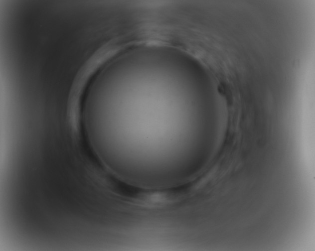 X0000092330295200709211312