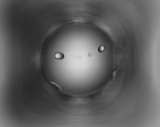 X0000092330297200709211312