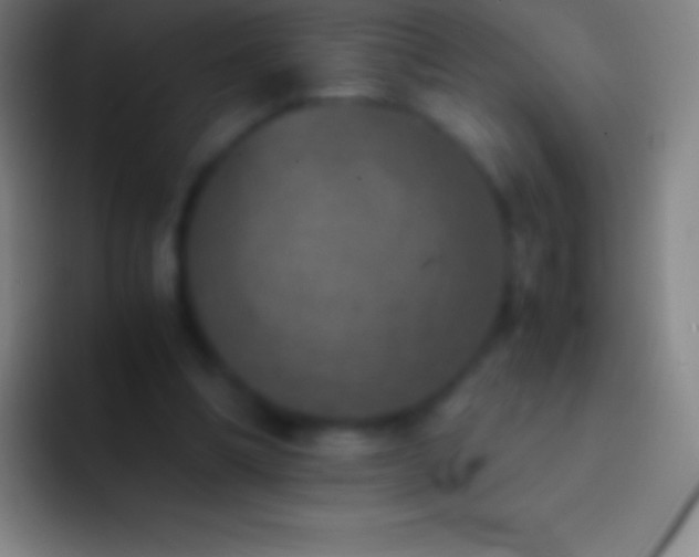 X0000092330298200709211312