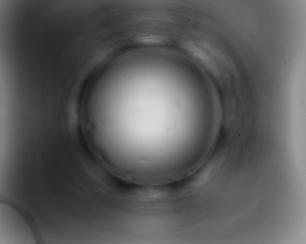 X0000092330299200709211312