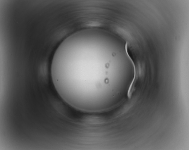 X0000092330300200709211312