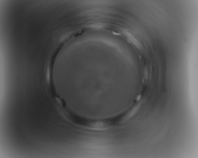 X0000092330301200709211312