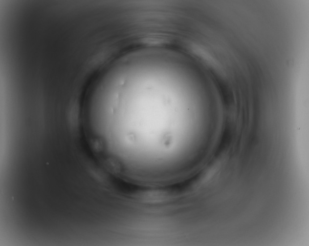 X0000092330303200709211312