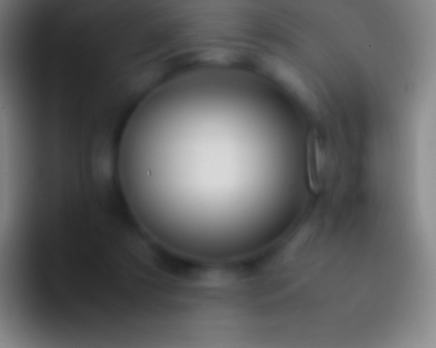 X0000092330305200709211312