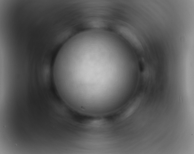 X0000092330306200709211312