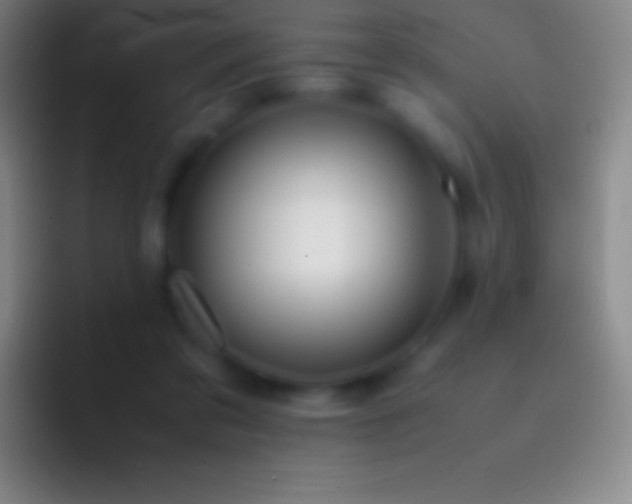 X0000092330309200709211312
