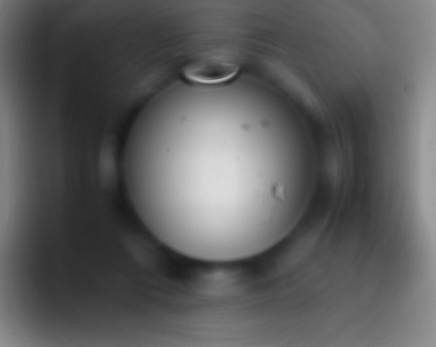 X0000092330312200709211312