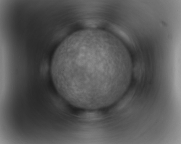X0000092330314200709211312