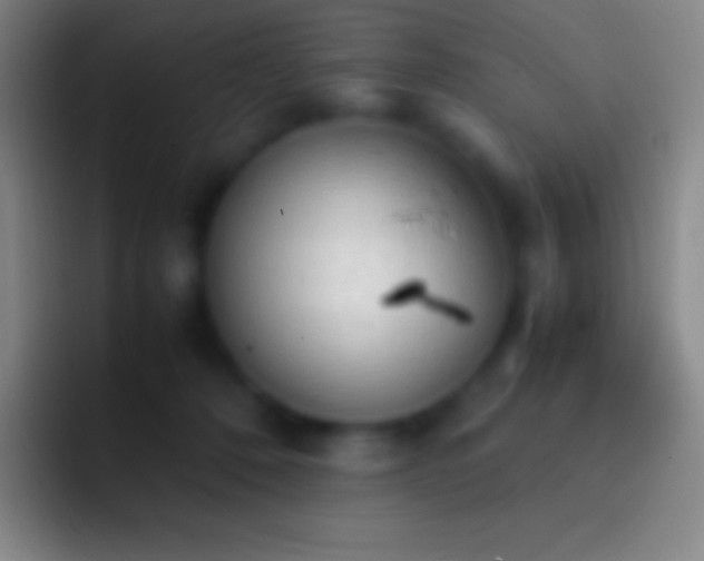 X0000092330320200709211312
