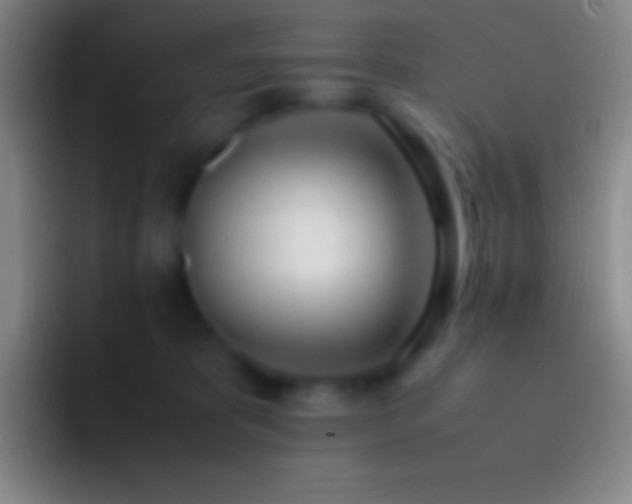 X0000092330325200709211312