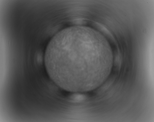 X0000092330326200709211312