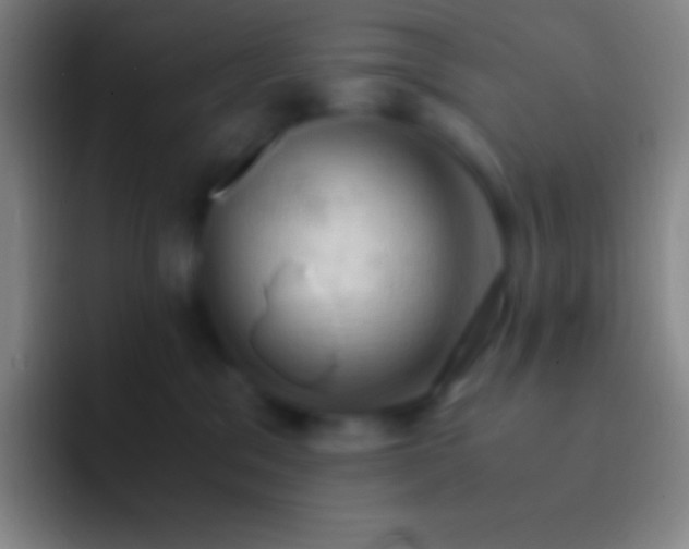X0000092330329200709211312