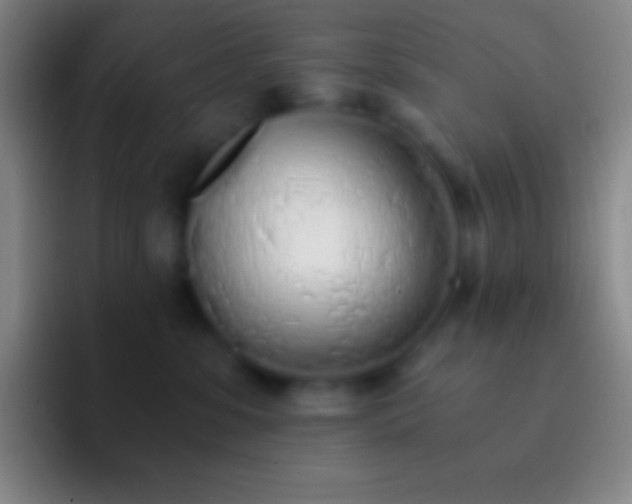 X0000092330331200709211312