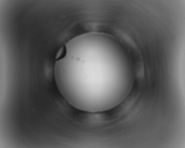 X0000092330332200709211312