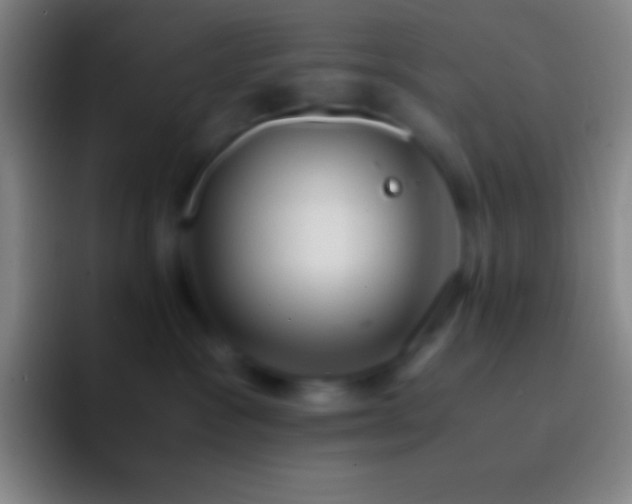 X0000092330333200709211312
