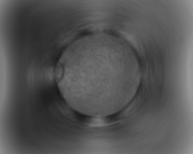 X0000092330335200709211311