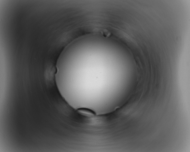 X0000092330336200709211311
