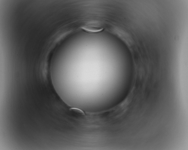 X0000092330338200709211311