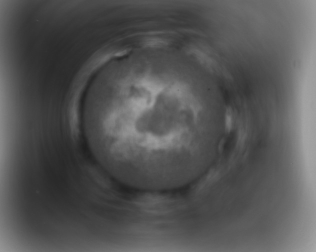 X0000092330339200709211311