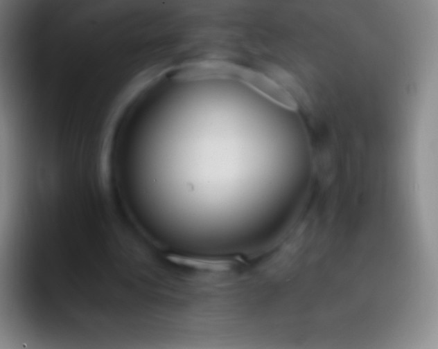X0000092330340200709211311