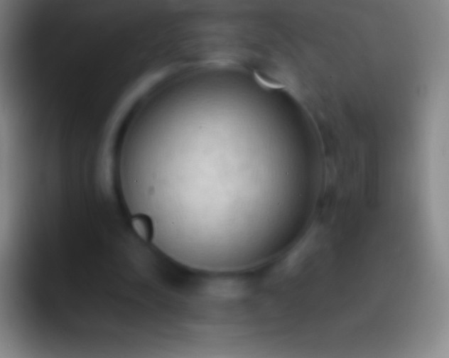 X0000092330342200709211311