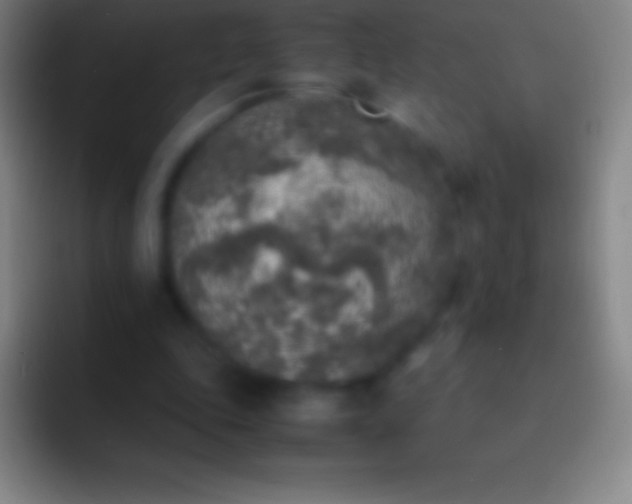 X0000092330343200709211311