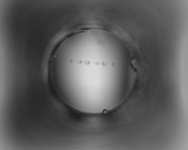 X0000092330344200709211311