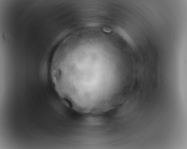 X0000092330346200709211311