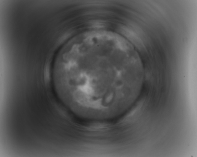X0000092330347200709211311