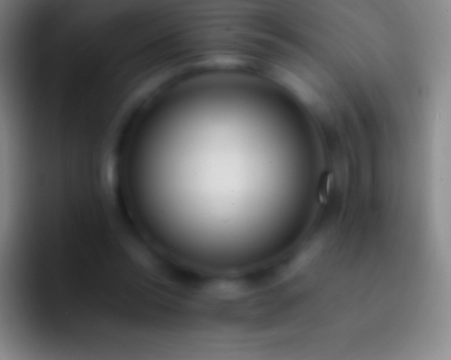 X0000092330350200709211311