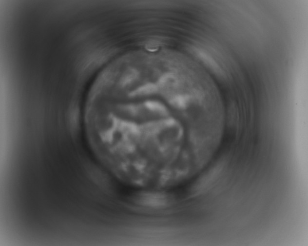 X0000092330351200709211311