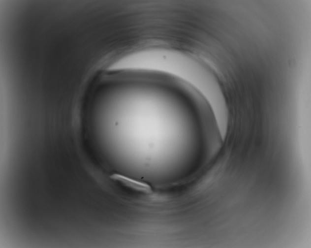 X0000092330352200709211311
