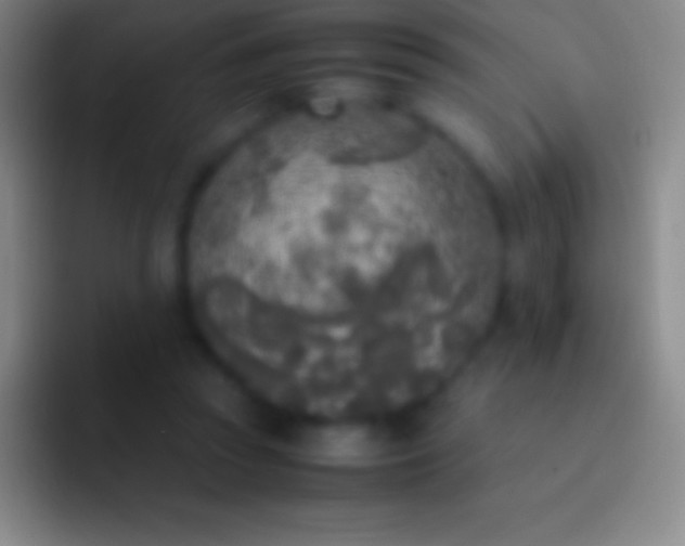 X0000092330353200709211311