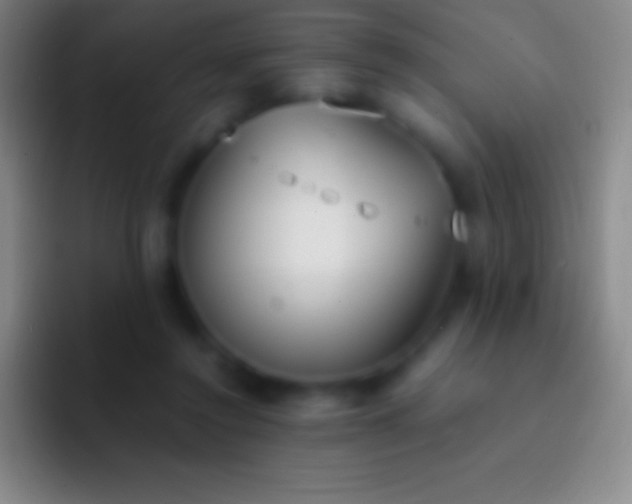 X0000092330356200709211311